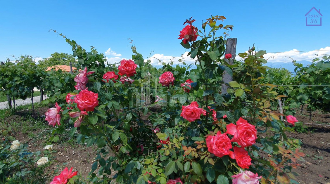 For Sale Chateau / Wine factory Commercial In Kakheti
