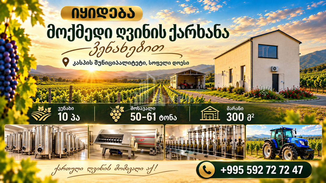 For Sale Chateau / Wine factory Commercial In Does, Kaspi