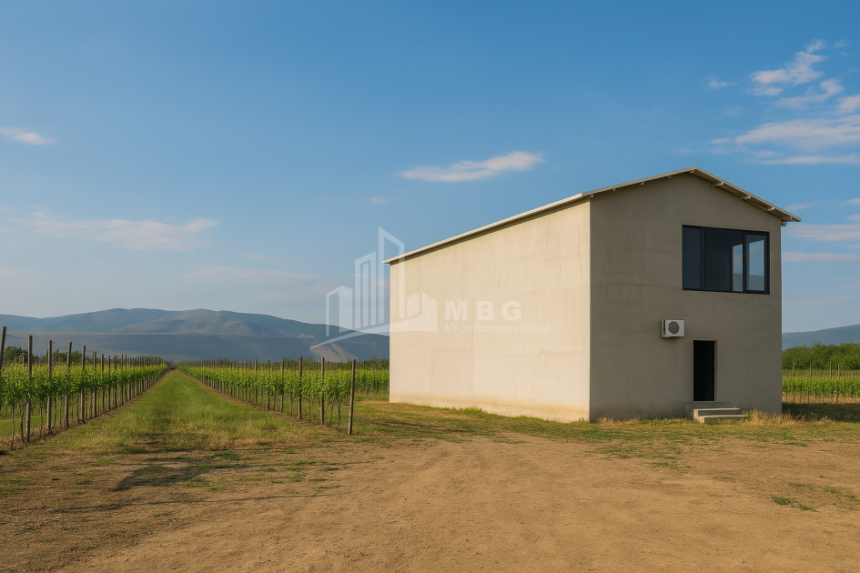 For Sale Chateau / Wine factory Commercial In Does, Kaspi