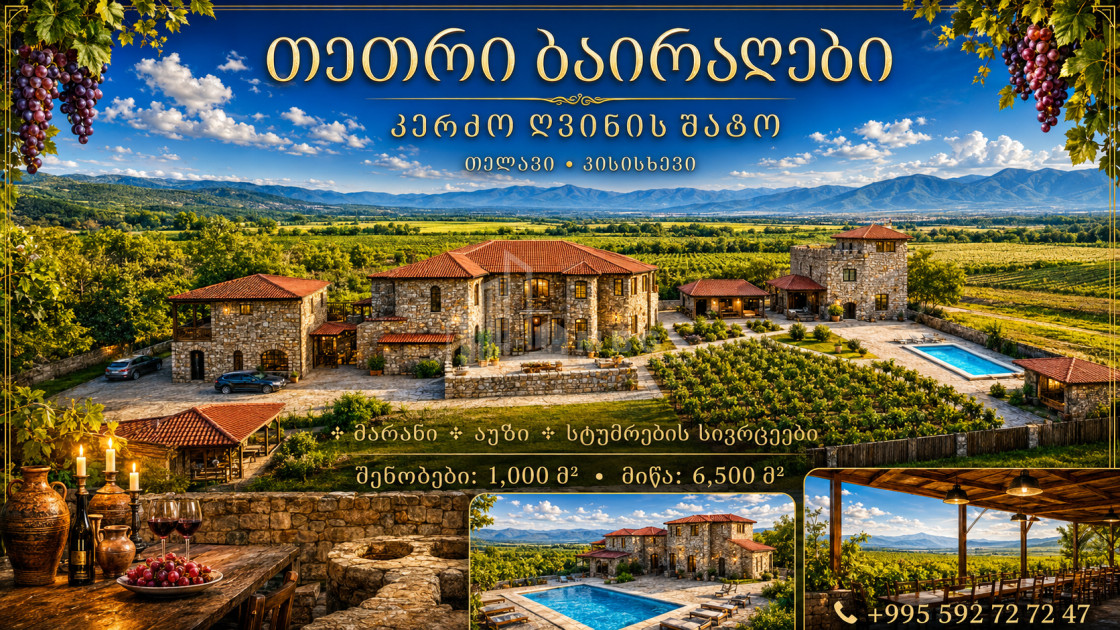 For Sale Chateau / Wine factory Commercial In Kakheti