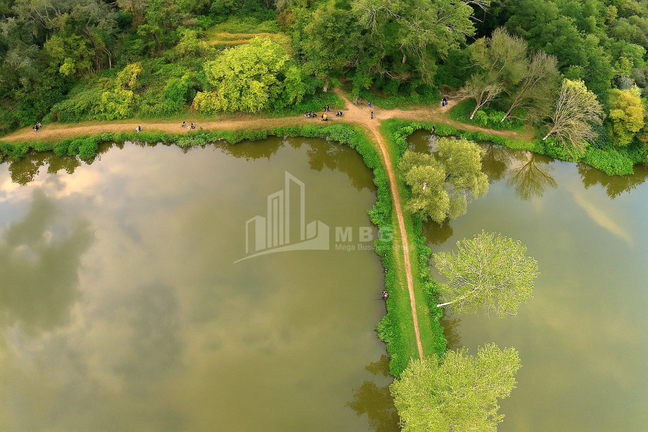 For Sale Vineyard - Chateau Land In Kvareli