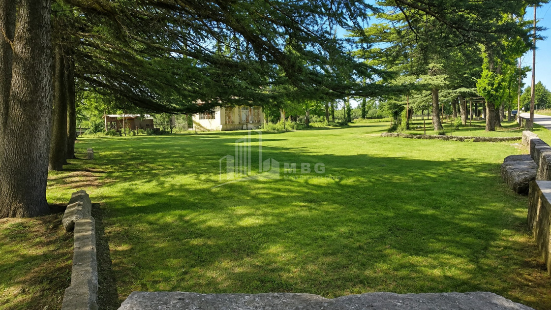 For Sale Commercial - universal Land In Abasha