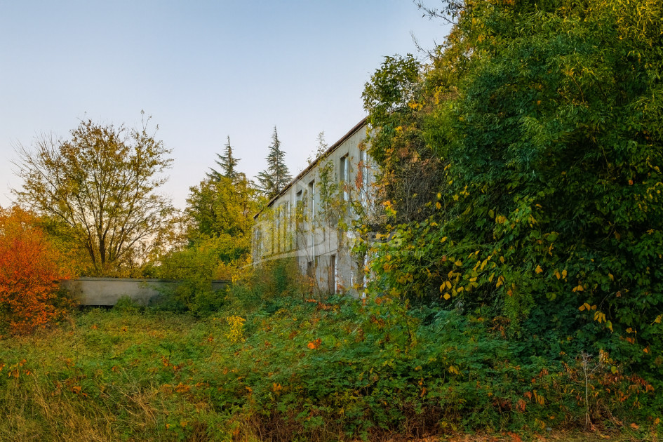 For Sale Chateau / Wine factory Commercial In Akhmeta
