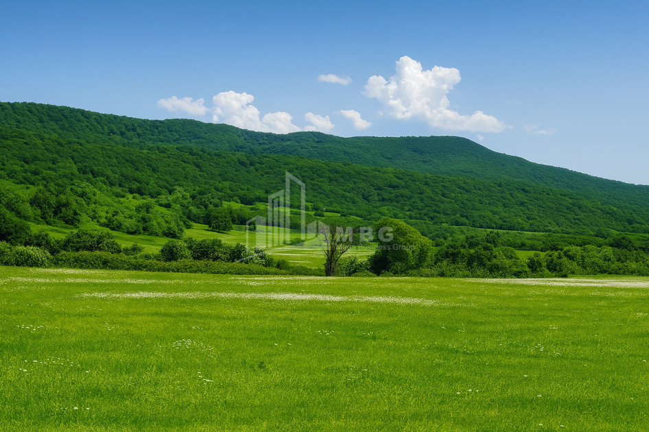 Продается Пахотные Земля В Гомбори, Сагареджо