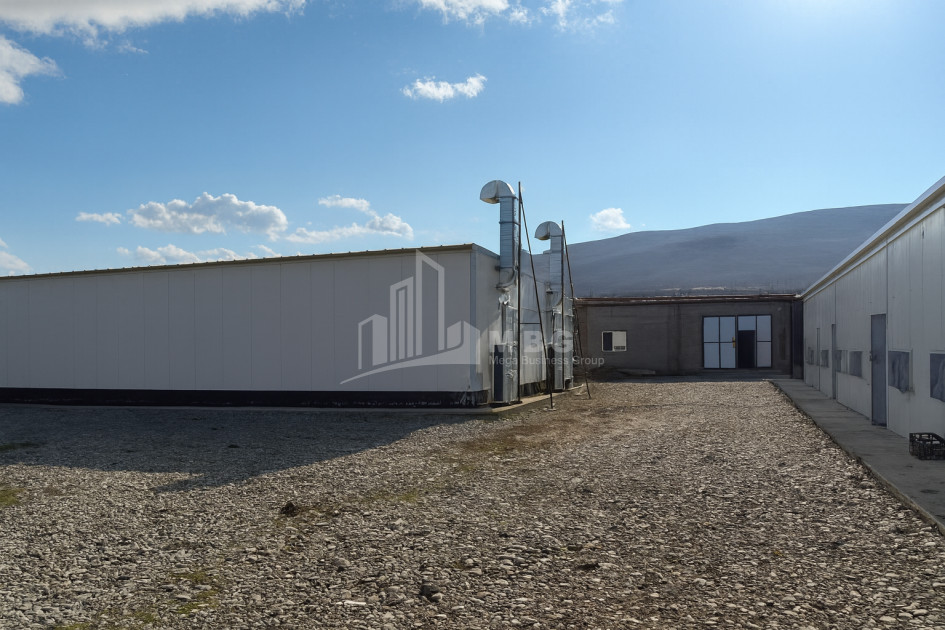 For Sale Mushroom Factory Commercial In Okami, Kaspi