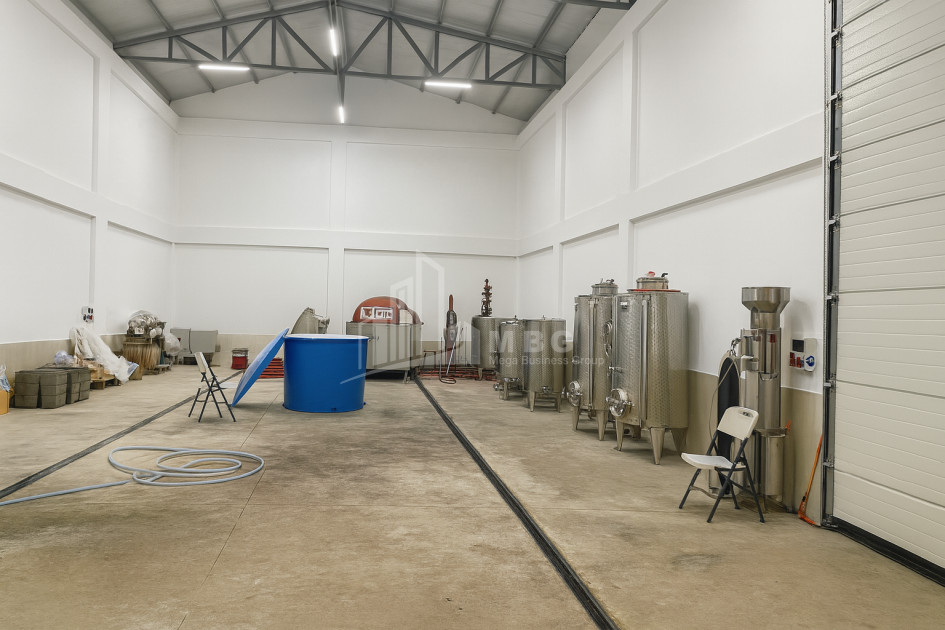 For Sale Chateau / Wine factory Commercial In Does, Kaspi