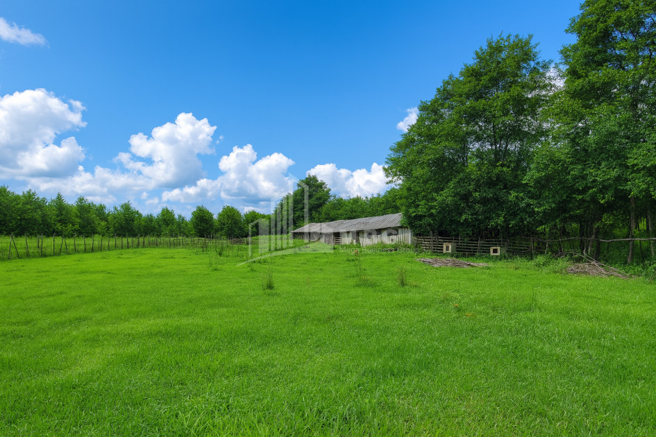 Продается Пахотные Земля В Село Чибати, Ланчхути