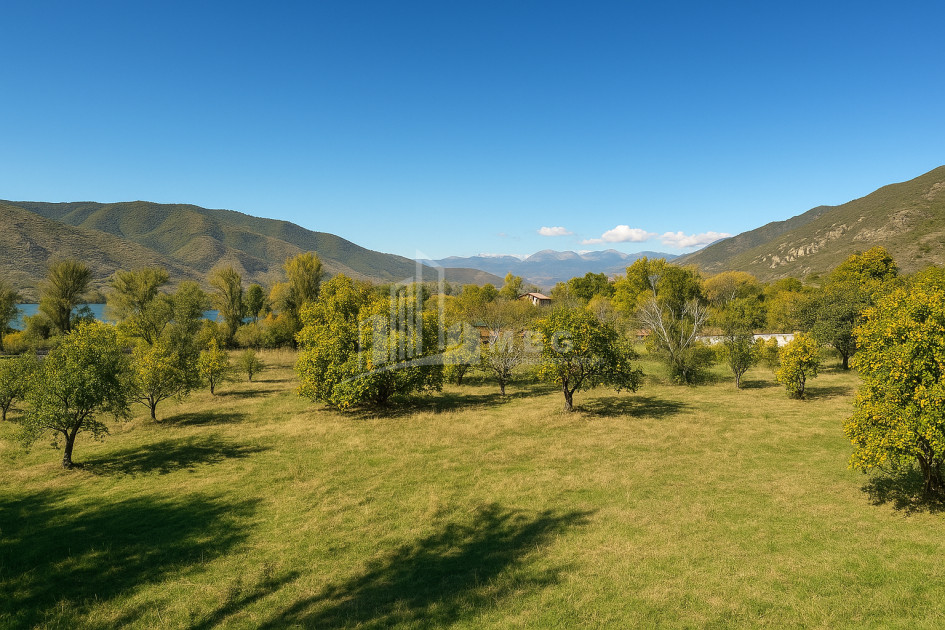 Продается Старое здание Дом - Вилла В Село Чопорте, Душети