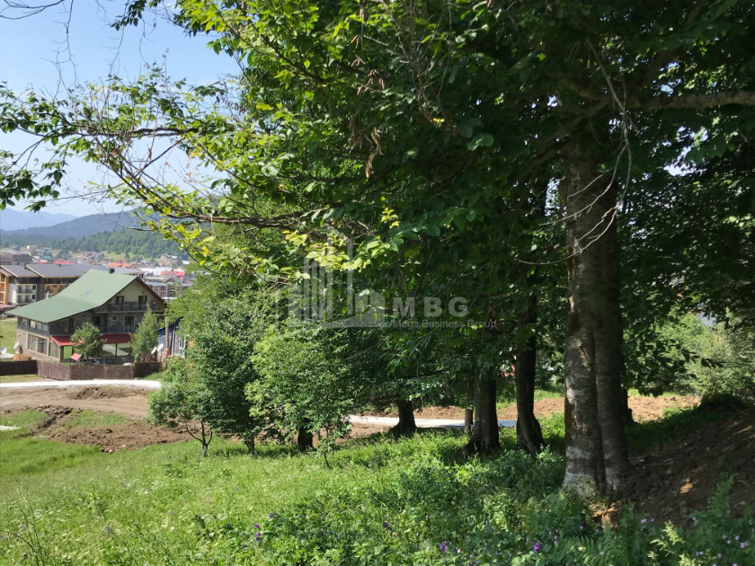 Продается Школа - Лагерь - Отель Коммерческий В Бакуриани, Боржоми