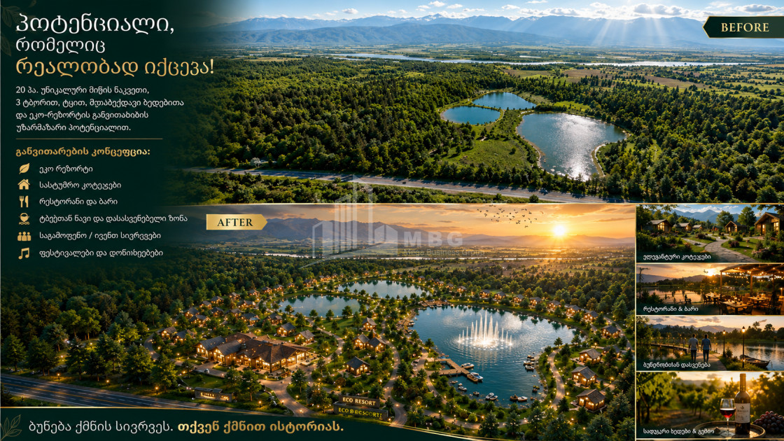 For Sale Commercial - universal Land In Kakheti