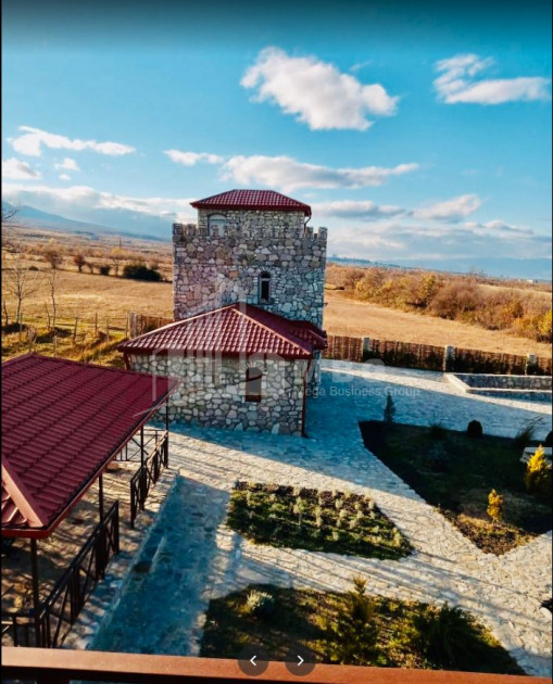 For Sale Chateau / Wine factory Commercial In Kakheti