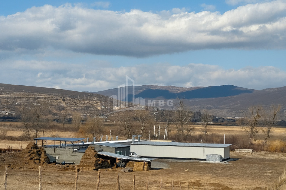 For Sale Mushroom Factory Commercial In Okami, Kaspi