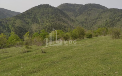 Продается Дачные Земля В на Солнце., Боржоми