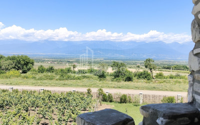 For Sale Chateau / Wine factory Commercial In Kakheti