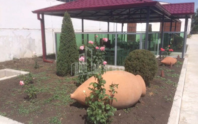 Продается Замок / Винный завод Коммерческий В Гори