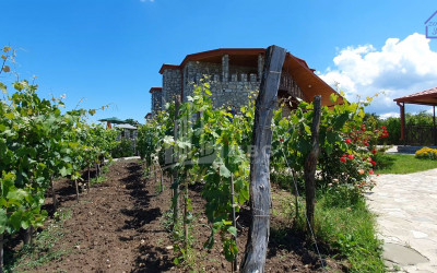 For Sale Chateau / Wine factory Commercial In Kakheti