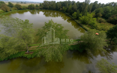 For Sale Vineyard - Chateau Land In Kvareli