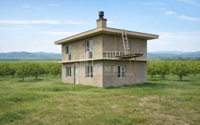 For Sale Walnut orchard Land In Bolnisi