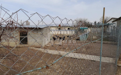 Продается Операционная ферма Коммерческий В Мухрани, Мцхета