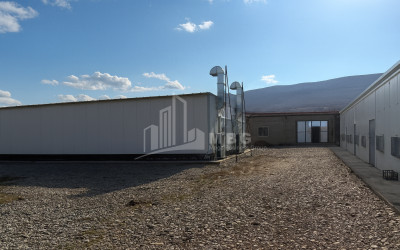For Sale Mushroom Factory Commercial In Okami, Kaspi
