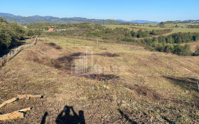 For Sale Blueberry orchard Land In Baileti, Ozurgeti