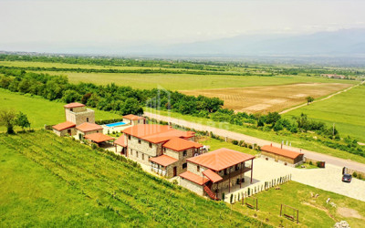 For Sale Chateau / Wine factory Commercial In Kakheti