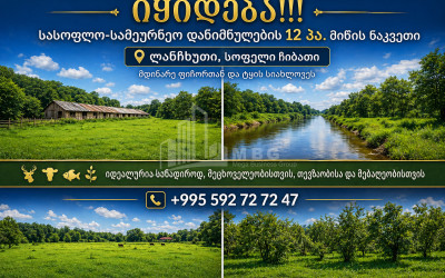 Продается Пахотные Земля В Село Чибати, Ланчхути