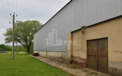 Продается Здание Коммерческий В Амбролаури