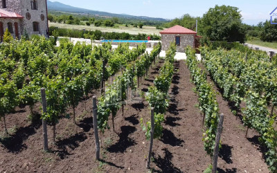 For Sale Chateau / Wine factory Commercial In Kakheti