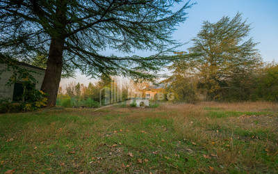 For Sale Chateau / Wine factory Commercial In Akhmeta