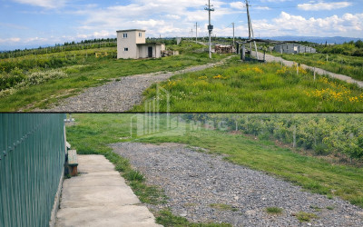 Продается Виноградник - Замковые Земля В Гори