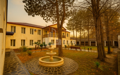 For Sale Chateau / Wine factory Commercial In Akhmeta