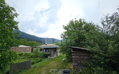Продается Дом - Вилла В Квибиси, Боржоми