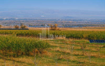 For Sale Orchards Land In the Village Shaumiani, Marneuli