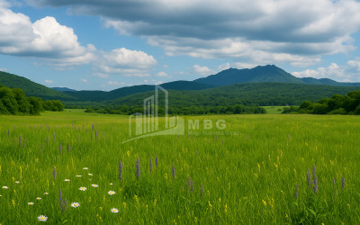 Продается Пахотные Земля В Гомбори, Сагареджо