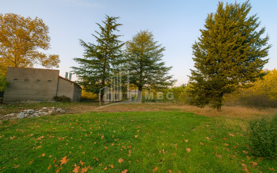 For Sale Chateau / Wine factory Commercial In Akhmeta