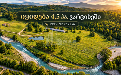 Продается Виноградник - Замковые Земля В Варцихе ГЭСе, Багдати