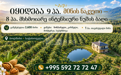 Продается Миндальный сад Земля В Болниси