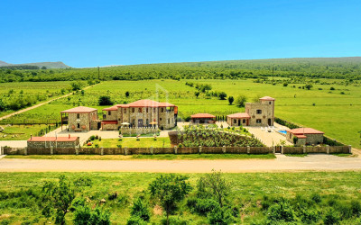 For Sale Chateau / Wine factory Commercial In Kakheti
