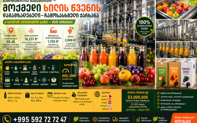 Продается Фабрика Коммерческий В Шиде Картли