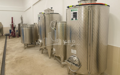 For Sale Chateau / Wine factory Commercial In Does, Kaspi