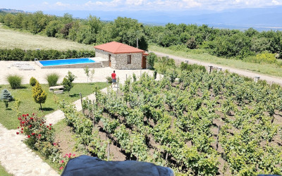 For Sale Chateau / Wine factory Commercial In Kakheti