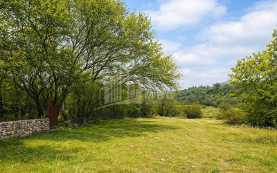 For Sale Old building House - Villa In Shalauri, Telavi