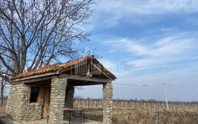 Продается Виноградник - Замковые Земля В Цинандали, Телави