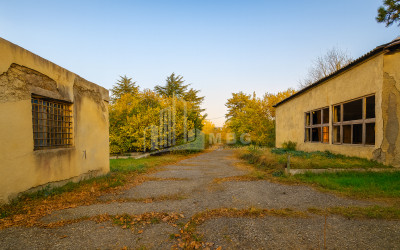 For Sale Chateau / Wine factory Commercial In Akhmeta