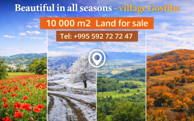 For Sale Country Land In Zemo Gostibe, Kaspi