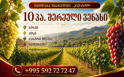 Продается Виноградник - Замковые Земля В Кучатани, Кварели