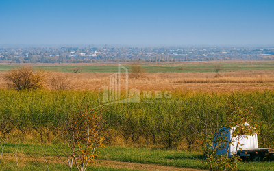 For Sale Orchards Land In the Village Shaumiani, Marneuli