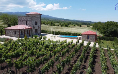 For Sale Chateau / Wine factory Commercial In Kakheti