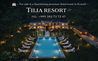 For Sale Hotel - Resort Commercial In Kvareli